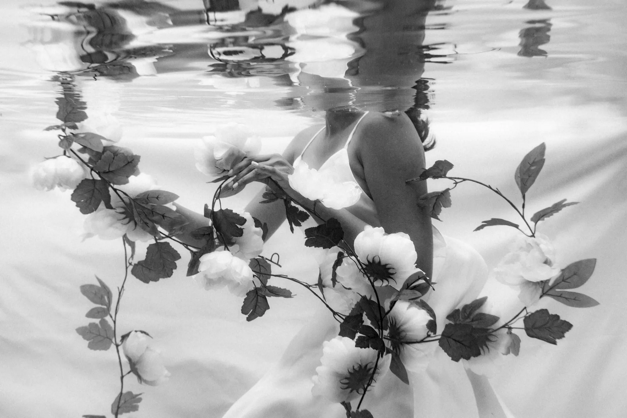 Black-and-white floral reflection beneath the surface